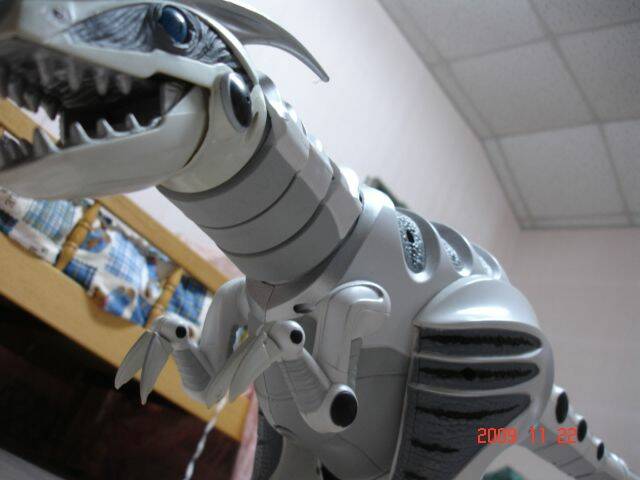 DSC03684.JPG
