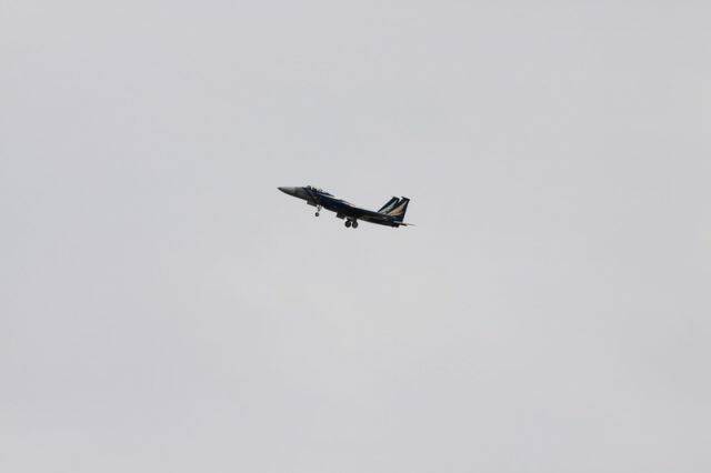 IMG_2172.jpg