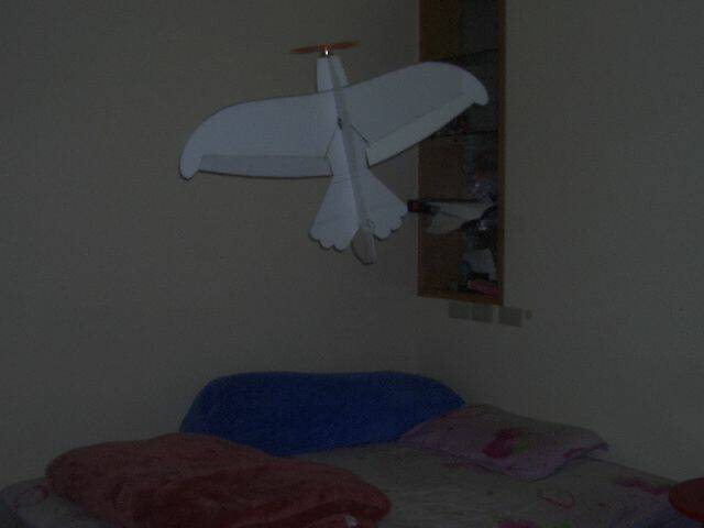 DSCI0933.JPG