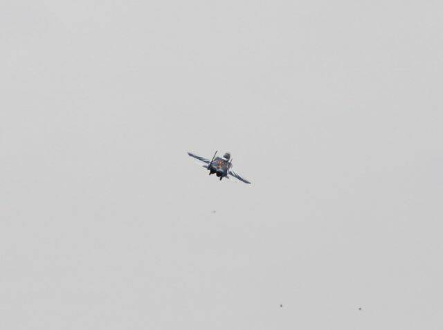 IMG_2162.jpg