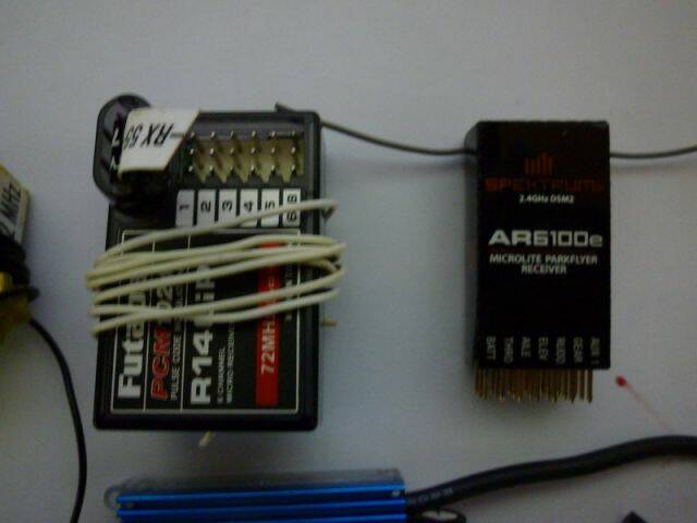 P1000556.jpg