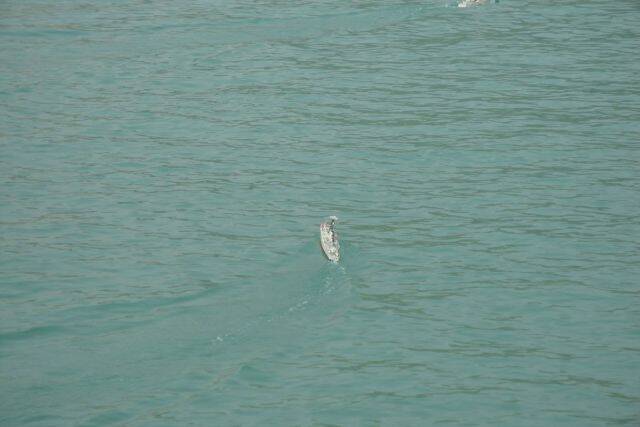 DSC02783.jpg