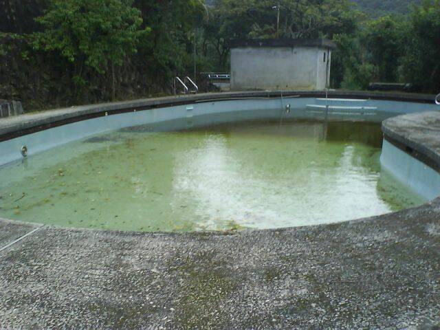 DSC02904.JPG