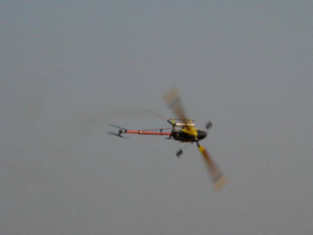 130.JPG