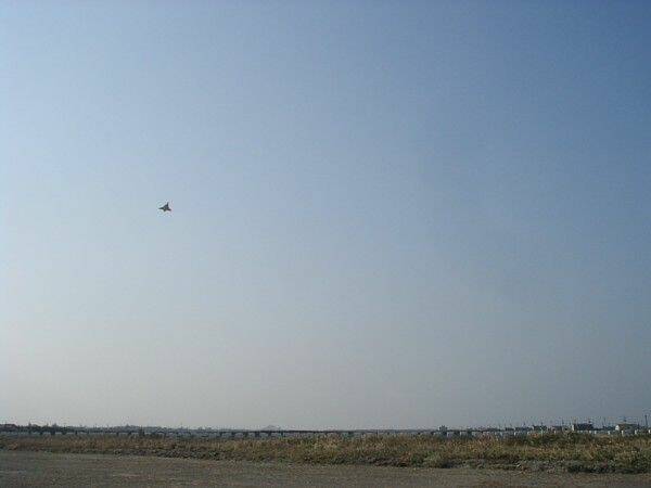 PIC_0010 [].JPG