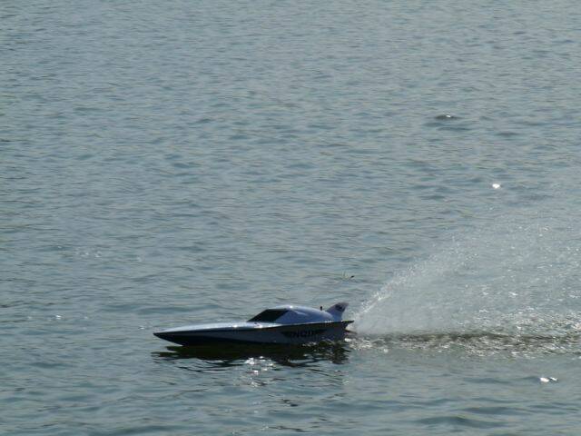 P1030896.jpg