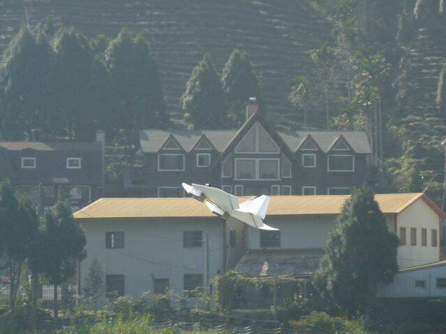 P1030902.jpg