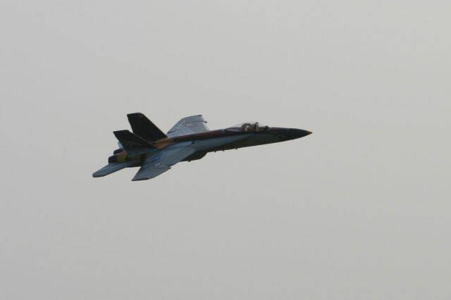 IMG_7960.JPG