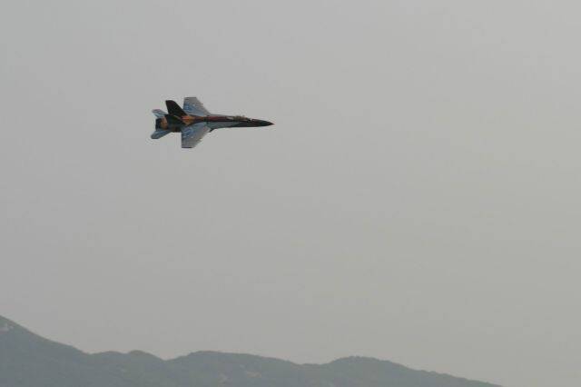 IMG_7959.JPG