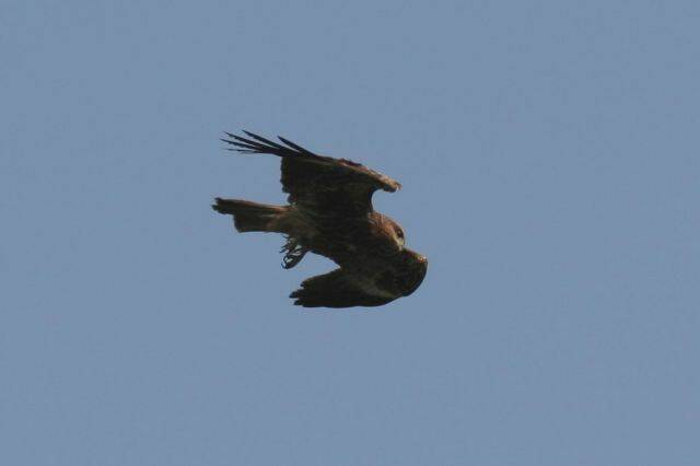 IMG_7970.JPG