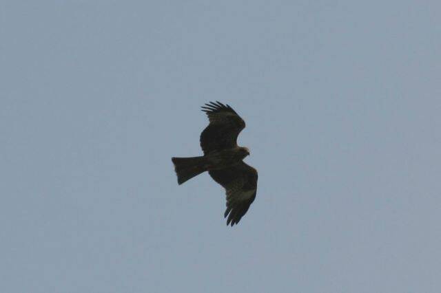 IMG_7966.JPG