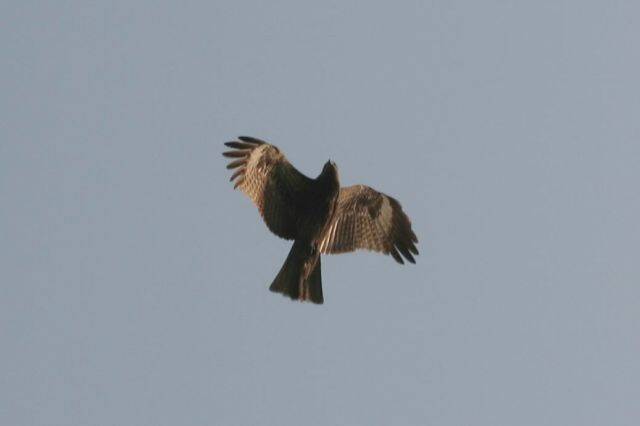 IMG_7969.JPG