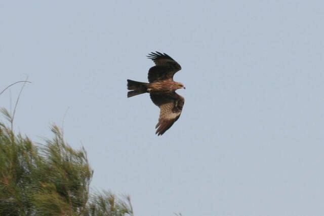 IMG_7964.JPG