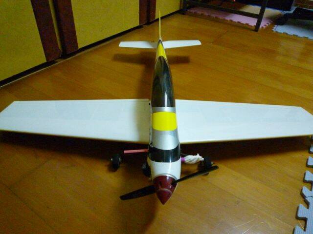 P1000495.jpg