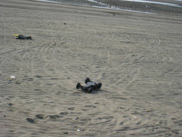 IMG_2135.jpg