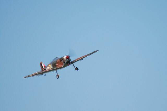 DSC_0168.JPG