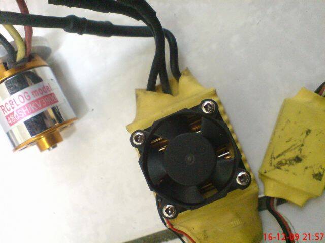 DSC024941.jpg