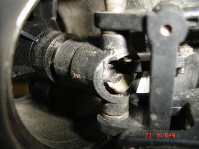 DSC04689.JPG