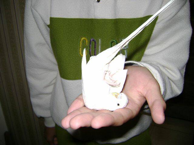 照片 002.jpg