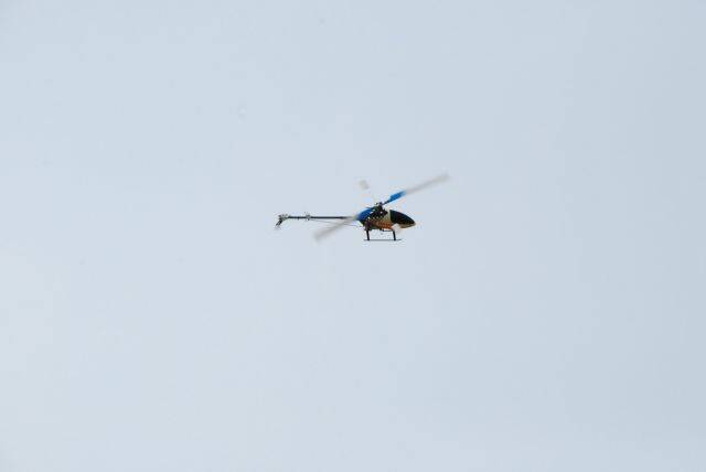 DSC_0044.JPG
