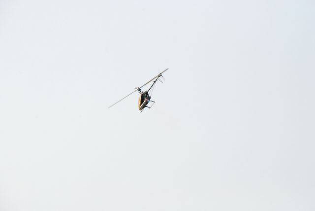 DSC_0045.JPG