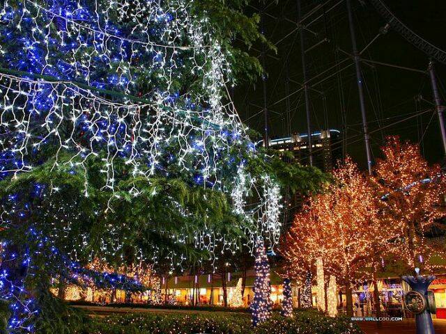 聖誕樹點綴的聖誕夜色 Christmas nigh04.jpg