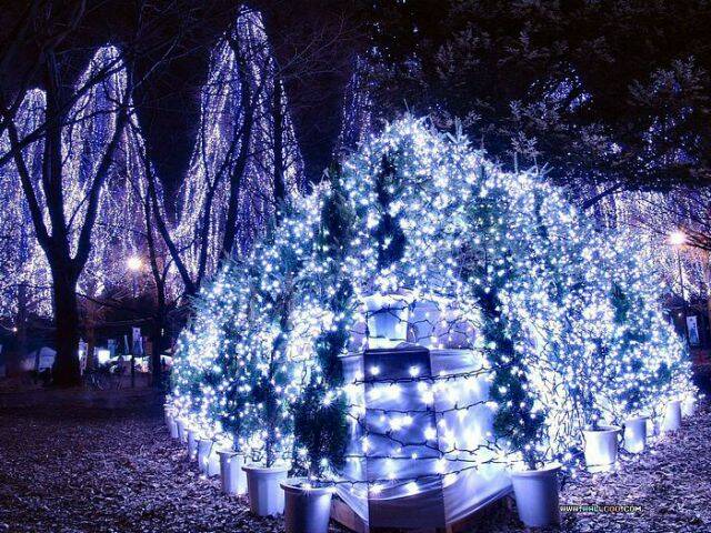 聖誕樹點綴的聖誕夜色 Christmas nigh.jpg