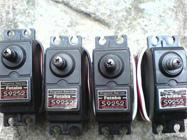 DSC00113.JPG