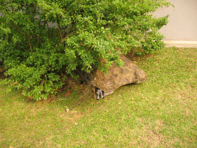 IMG_2331.JPG