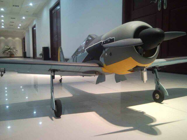 SNC00347.jpg