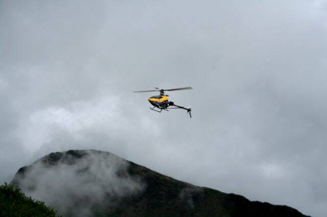 IMG_9938_800.jpg