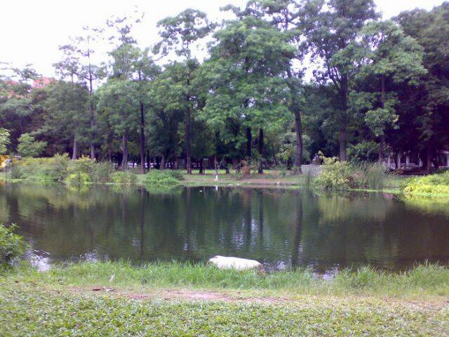 20090927692.jpg