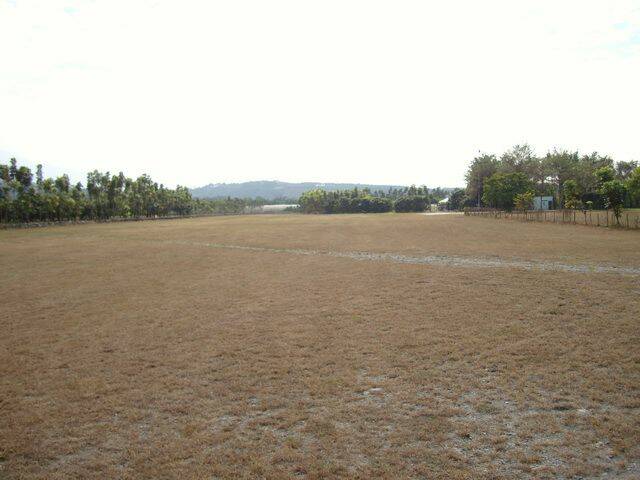 DSC05054_調整大小.JPG