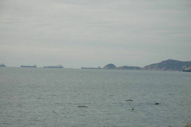 DSC03387.jpg