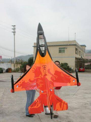 F-16簡易拼裝_2.jpg