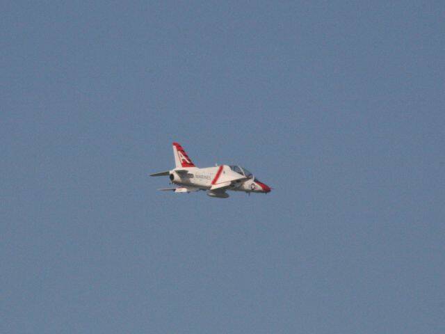 IMG_3118.JPG