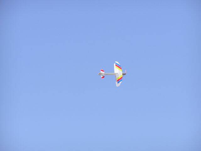 P1100099.JPG