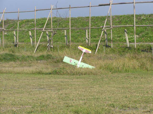P1100087.JPG