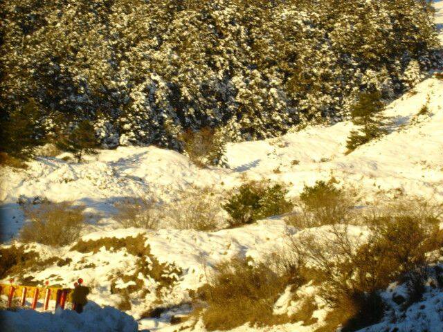DSC03985.JPG