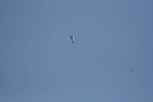 IMG_2856.jpg