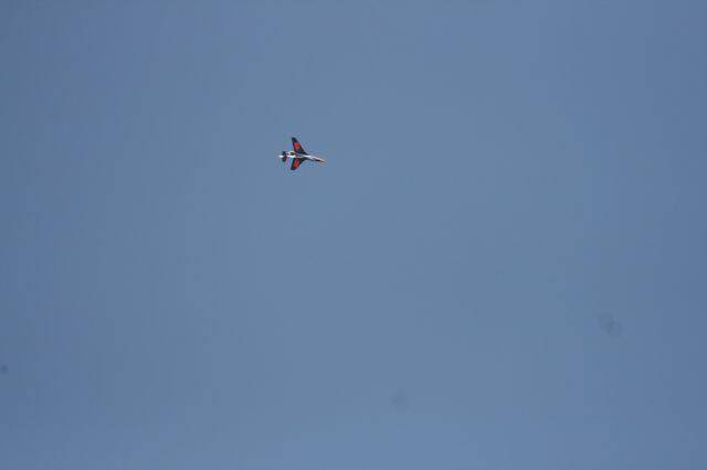 IMG_2857.jpg