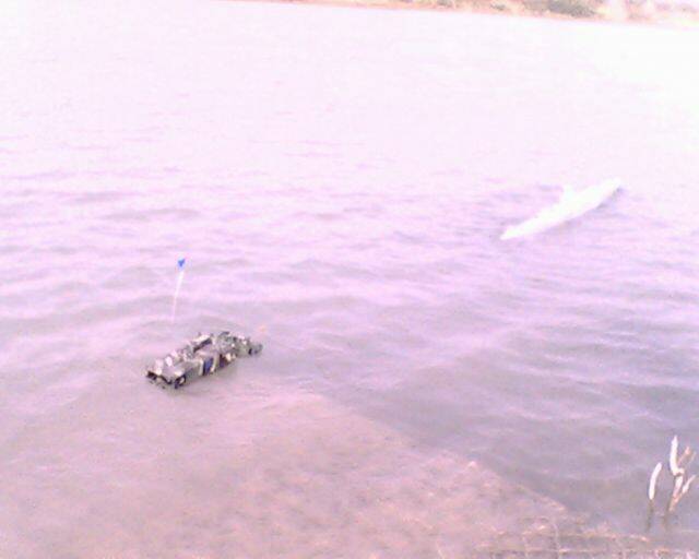 IMG4023A.jpg
