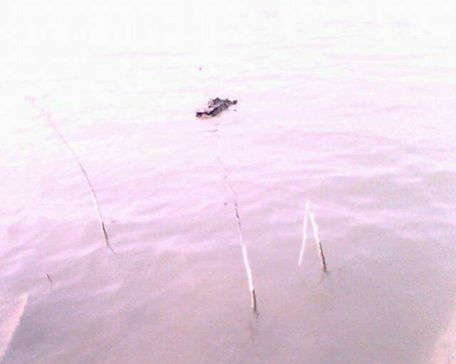 IMG4019A.jpg