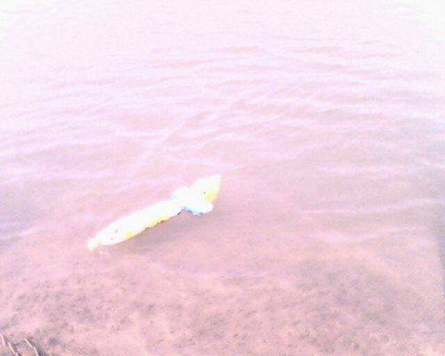 IMG4011A.jpg