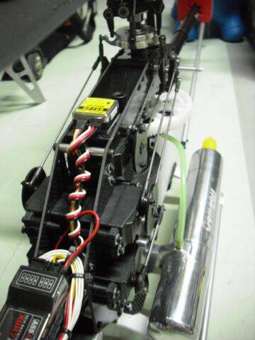 CIMG6099.JPG