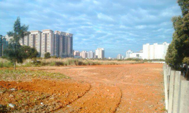 IMAG0123.jpg