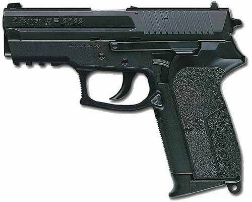 sig_Sp2022.jpg