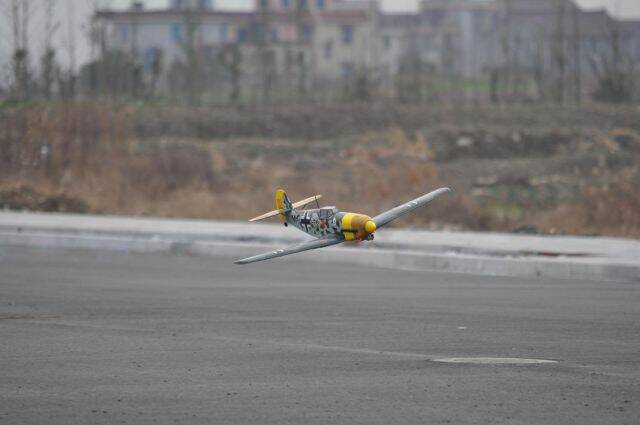 DSC_0800.jpg