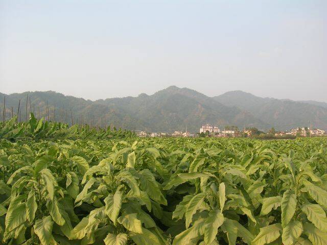 DSCN6047.JPG