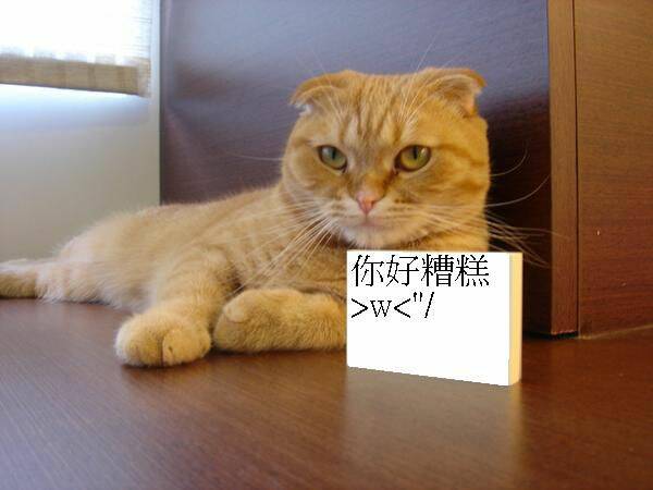 10772624.jpg